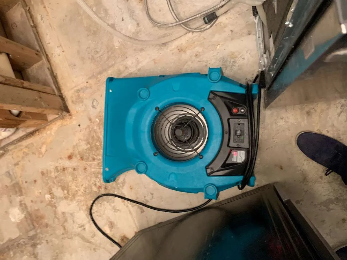 Air mover drying equipment for Mold Remediation & Removal in Brentwood