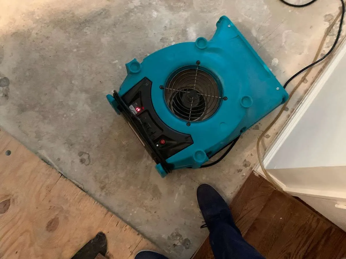 Air mover drying subfloor during Leak Detection & Repair in Brentwood